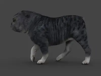 FEBU-003 Walking Animation 3D model