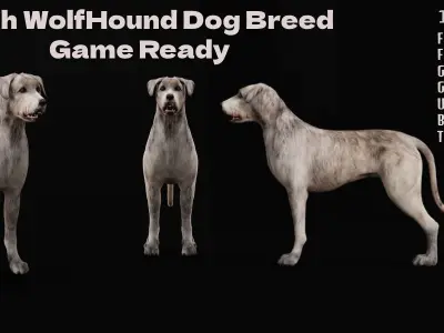 Irish Wolfhound Dog Low-poly 3D model