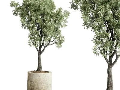 Tree plant in a old concrete dirty outdoor plant set 213  3D model