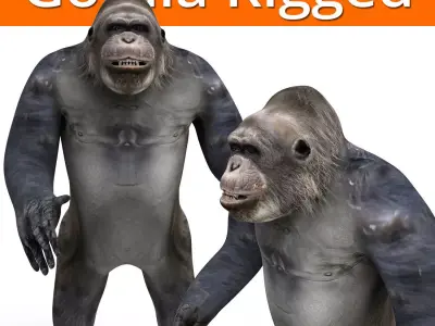 gorilla Rigged 3D Models game ready Low-poly 3D model