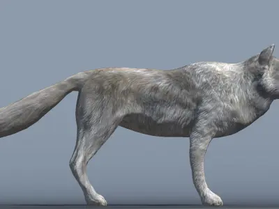 Lowpoly Wolf Rigged and Animated for VR AR Games Low-poly 3D model
