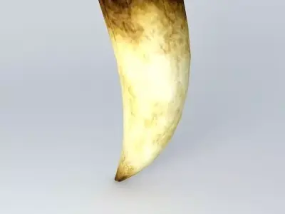 Horn tusk Free 3D model