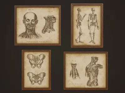 Medical Pictures - PBR Game Ready Low-poly 3D model