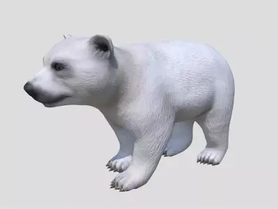 Polar Bear Cub Low-poly 3D model