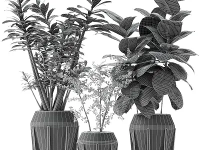 Collections Plants 02 3D model