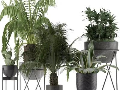 Plants Collection 22 3D model