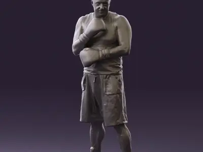 Boxer in gray 0781 3D model