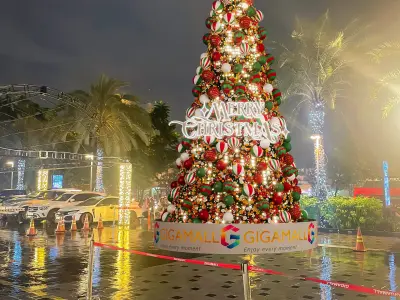Australia Christmas Tree Concept 3D model