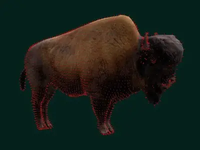 Wood Bison Mammal Low-poly 3D model