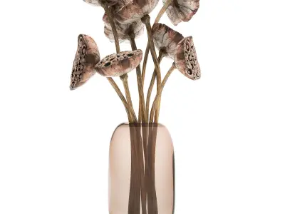 Bouquet of dried flowers lotus in a glass vase 152 3D model
