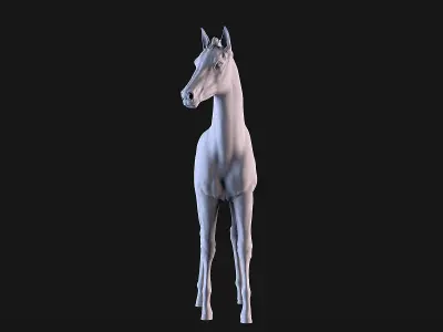 Horse Foal 3D print model