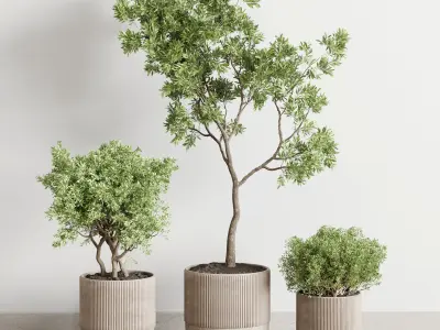  indoor outdoor plant 141 vase concrete wood old pot tree 3D model