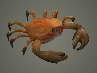 crab animal 3d model texture arthropod character  3D model