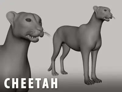 Cheetah Model Low-poly 3D model