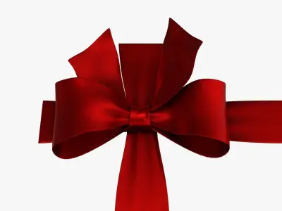 Wrapping bow 04 3D model