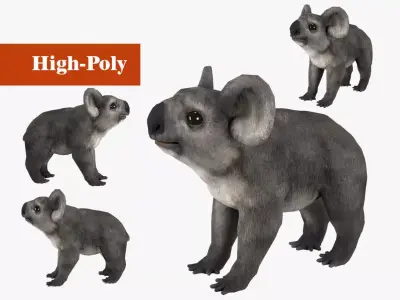 koala  rig  high-poly  textured 3D model