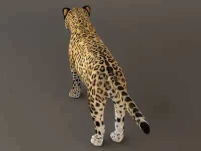 Jaguar fur Model 3D model