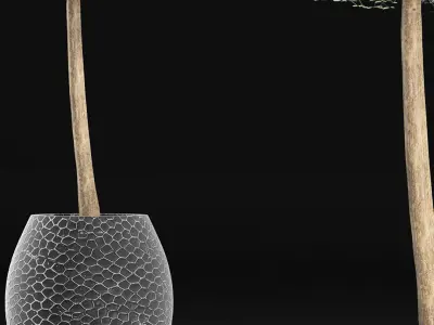 Plants Collection 151 Ligustrum Lucidum 3D model