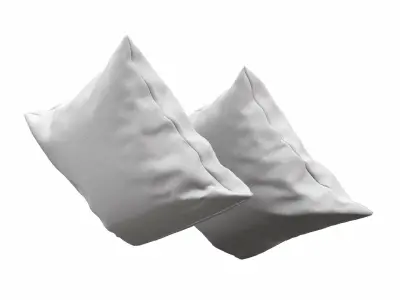 Solid Pillows - set of 2 3D model