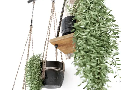 Indoor Plants in rusty Concrete Pot with Macrame - Set 3 3D model