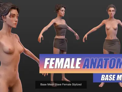 Collection 2 Base mesh Female Skinny and Fat