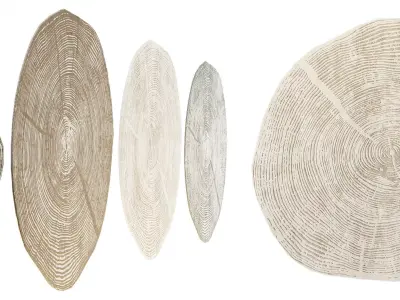 Woodcut Tree Ring Rugs Set 169 200cm  3D model