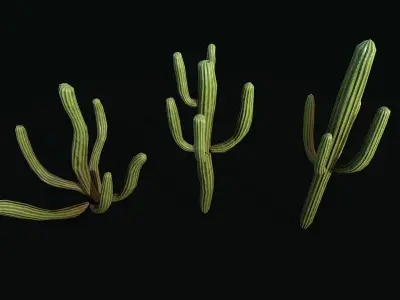 Stylized cactus large low poly  Low-poly 3D model
