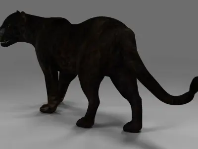Black Panther Rigged in Blender  Low-poly 3D model