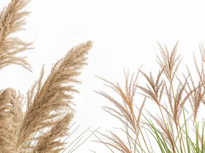 Reeds in a concrete flowerpot for the interior 1094 3D model