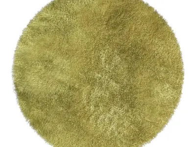 Round rug 3D model purchase