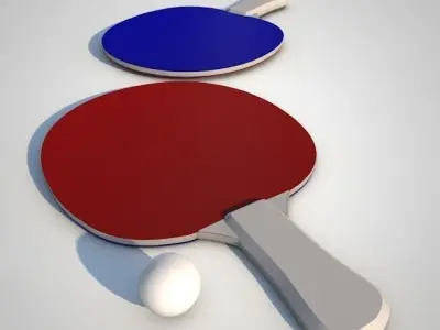 Ping Pong Paddle 3D model