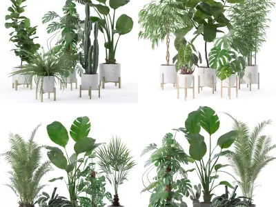 20 Photorealistic Flowers for Interiors - set 118 130 141 143 3D Model Collection