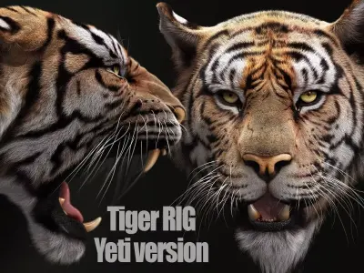 Bengal Tiger RIG Yeti 3D model