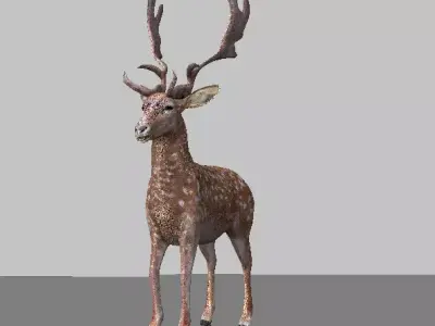 deer High Poly with antlers 3D model