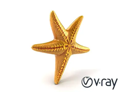 Realistic Textured Starfish Marine Model Pack Low-poly 3D model