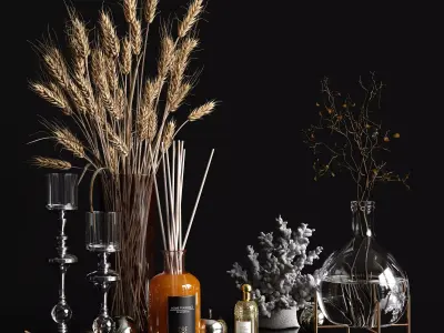 Decorative set with dry plants 3D model