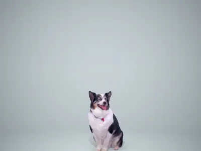 Sitting Dog Dog0003-HD2-P01-S 3D model