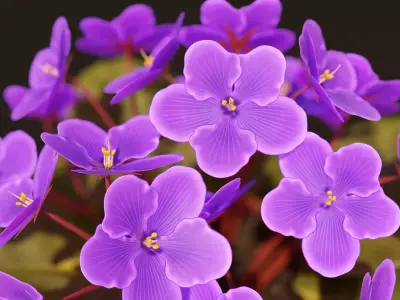 Potted Plant Flower African Violet - PBR Game Ready Low-poly 3D model