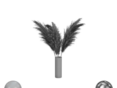 pampas grass 3D model purchase