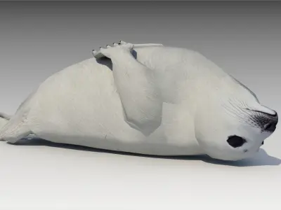 Seal cub Low-poly 3D model