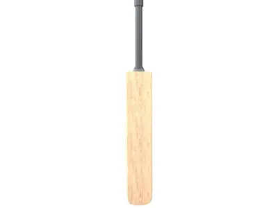 Cricket Bat v1 002 Low-poly 3D model