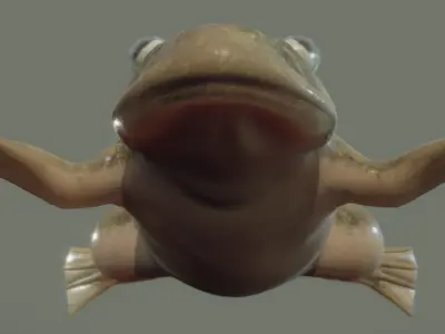 Frog  Lab  Frog   Xenopus laevisis Low-poly 3D model