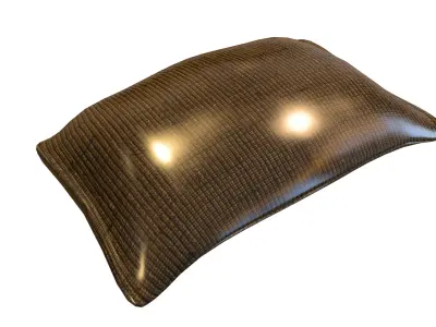 sacks 3D model