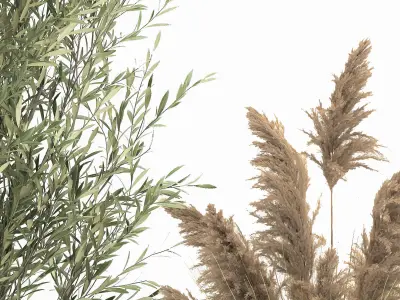 Plants in a black pot for the interior 1051 3D model