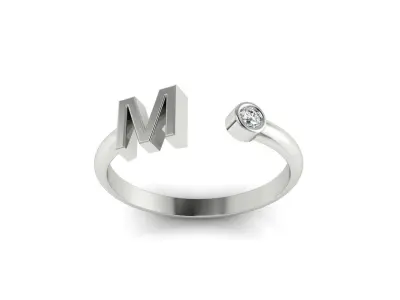 Ring 137 3D print model