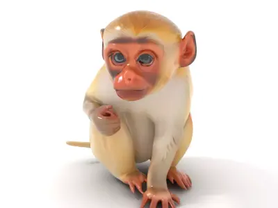 Golden Capuchin Monkey model pack Low-poly 3D model