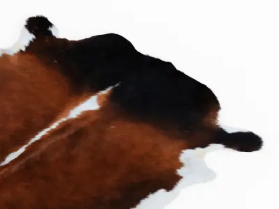 Cowhide Brown And White Rug 3D model