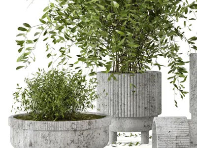 Indoor Plants in rusty Concrete Pot - Set 9 3D model