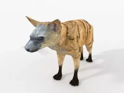 Aardwolf hyena Low-poly 3D model