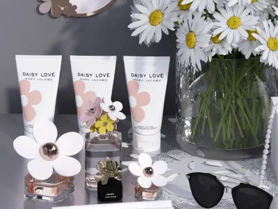 Daisy Flower Decorative Set decor set 3D model